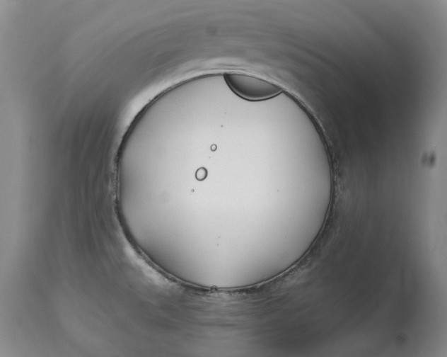 X0000114551527200911091144