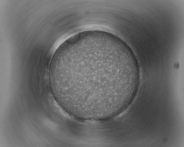 X0000114551529200911091144