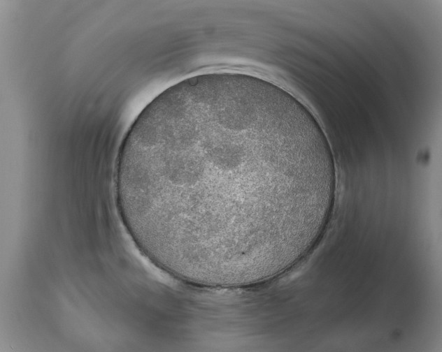 X0000114551533200911091144