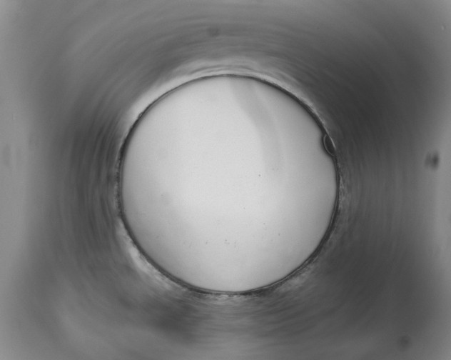 X0000114551534200911091144