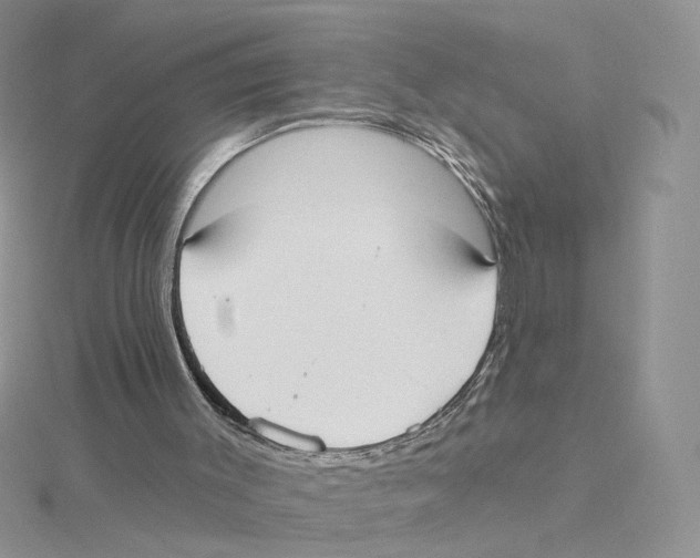 X0000114550003200911161428