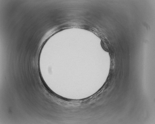 X0000114550004200911161428