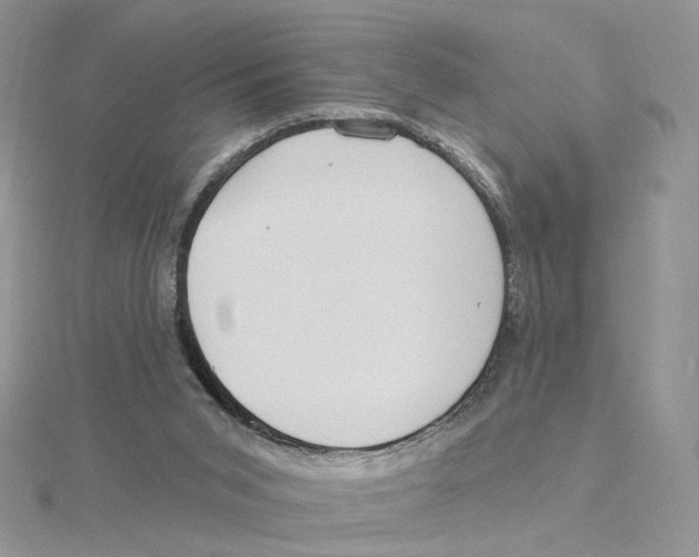 X0000114550015200911161428