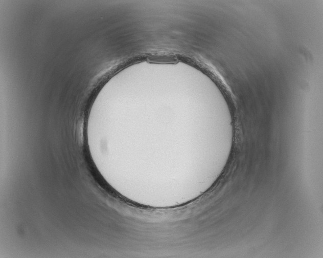 X0000114550019200911161428