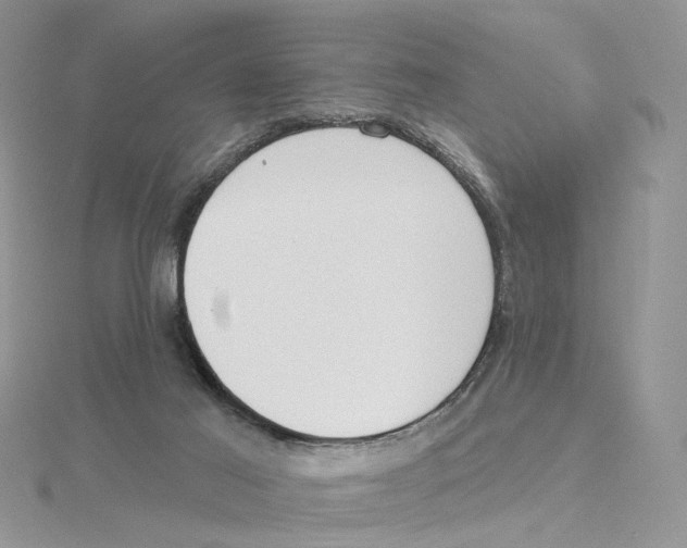 X0000114550021200911161428