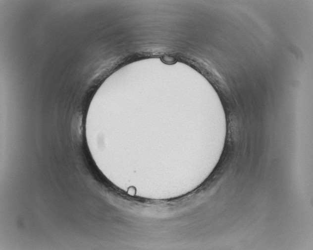 X0000114550024200911161428