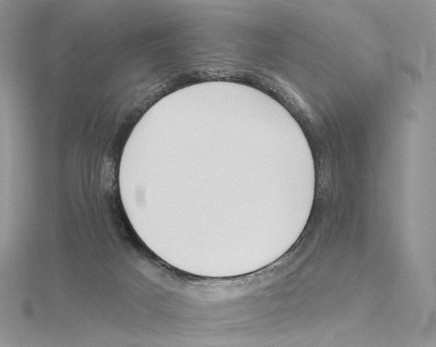 X0000114550025200911161428