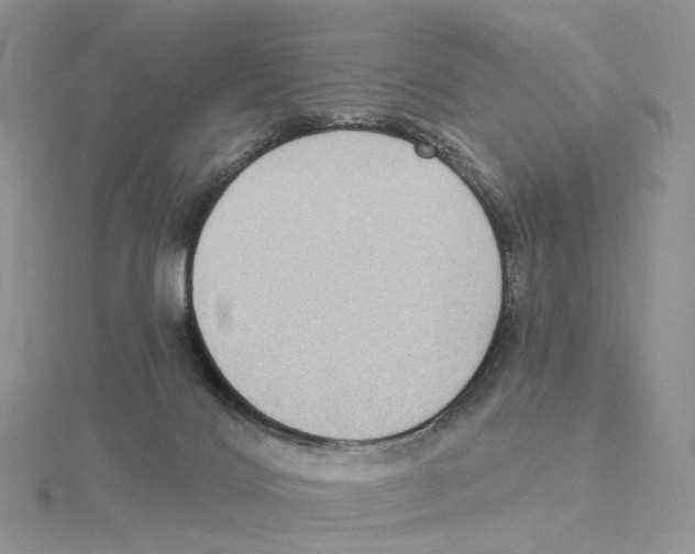 X0000114550028200911161428