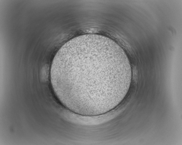 X0000114550030200911161428