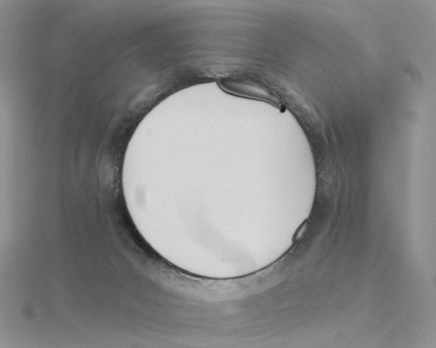 X0000114550031200911161428