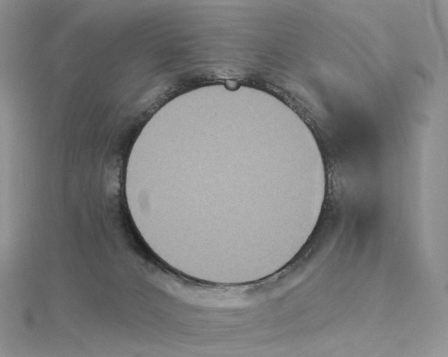 X0000114550032200911161428