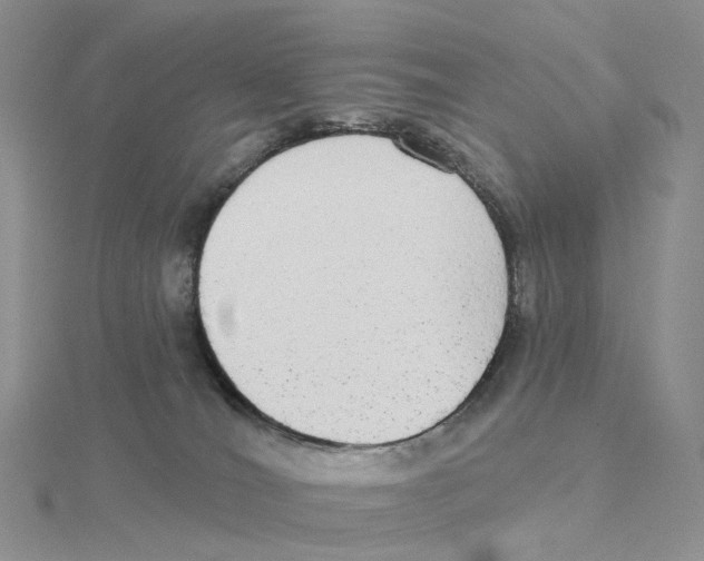 X0000114550036200911161428