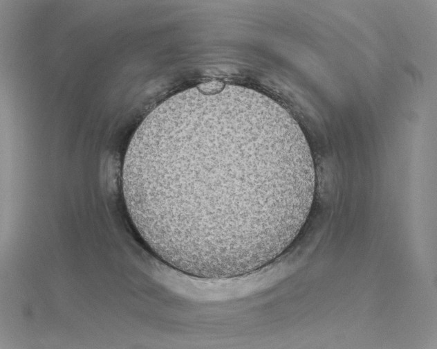 X0000114550038200911161427