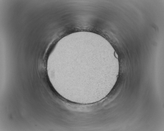 X0000114550040200911161427