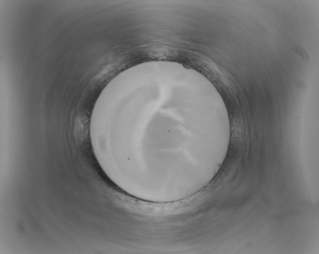 X0000114550043200911161427