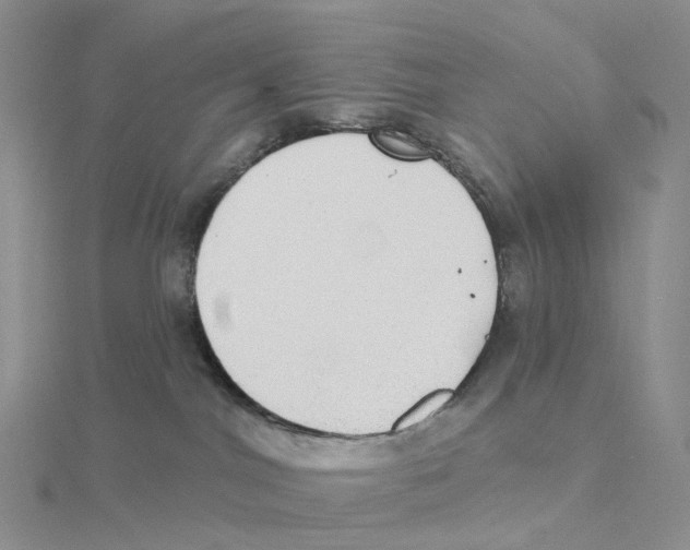 X0000114550044200911161427