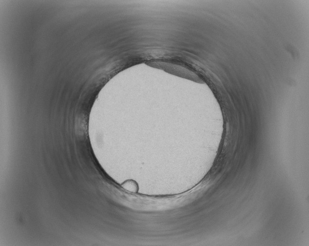 X0000114550048200911161427