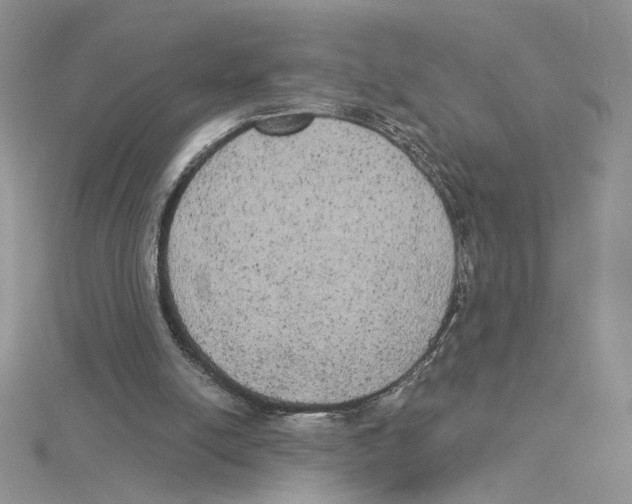 X0000114550054200911161427