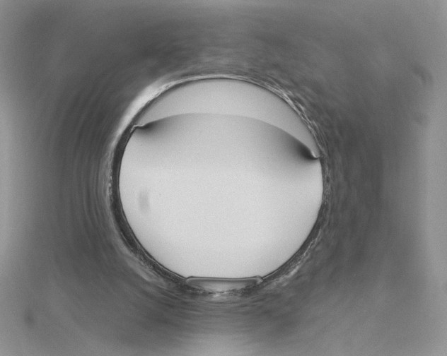 X0000114550056200911161427