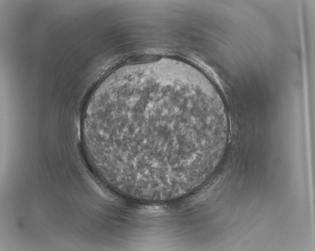 X0000114550061200911161427