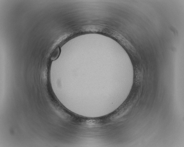 X0000114550064200911161427
