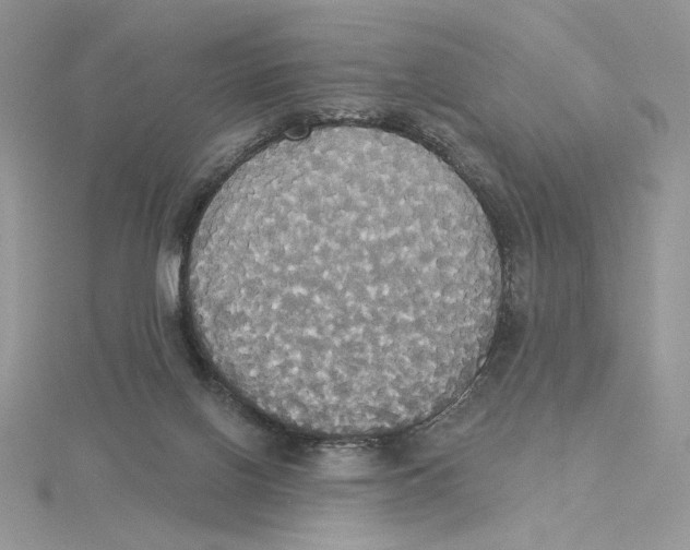 X0000114550070200911161427
