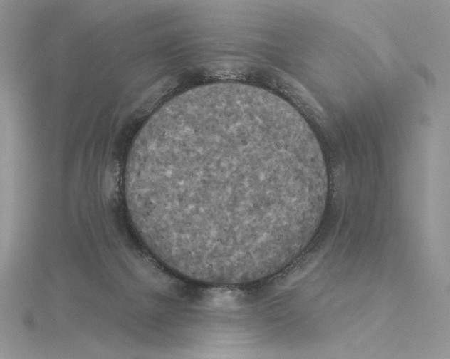 X0000114550073200911161427