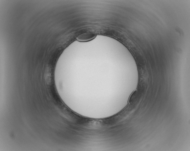 X0000114550080200911161427
