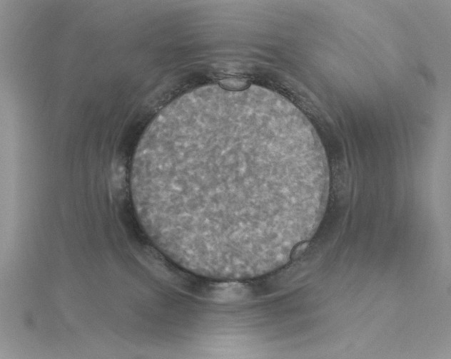 X0000114550087200911161427