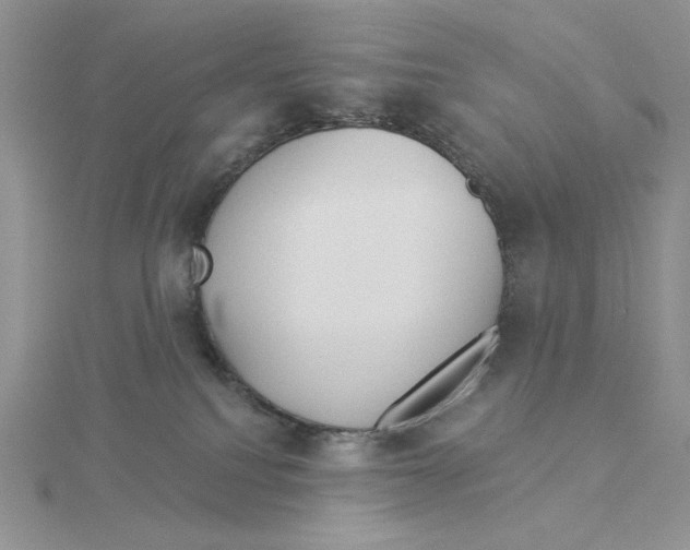 X0000114550088200911161427