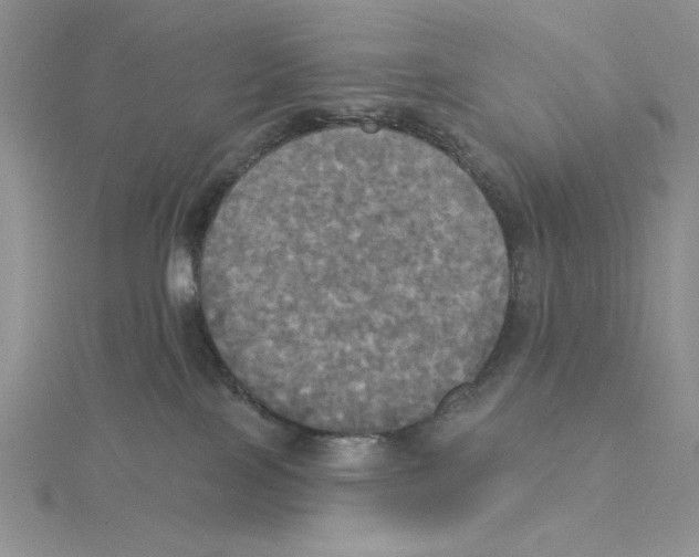 X0000114550089200911161427