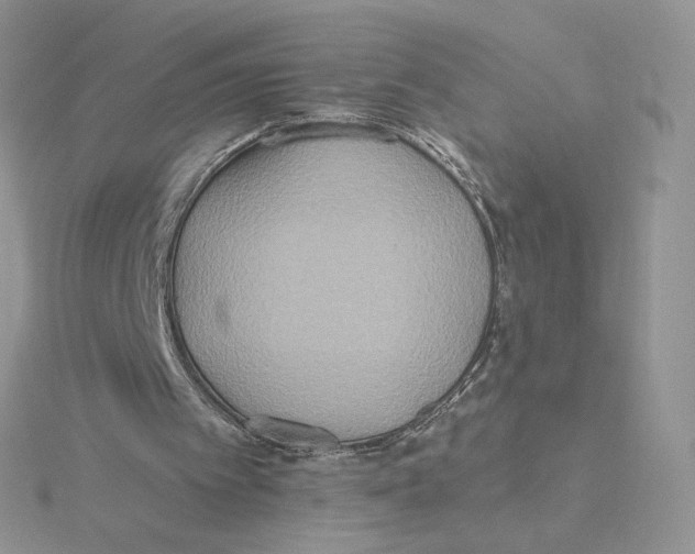 X0000114550097200911161427
