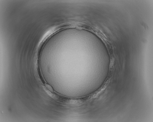 X0000114550101200911161427