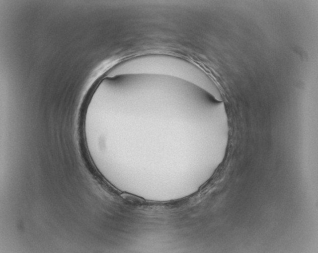 X0000114550104200911161427