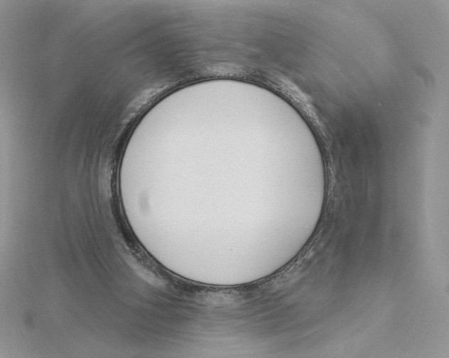 X0000114550106200911161427