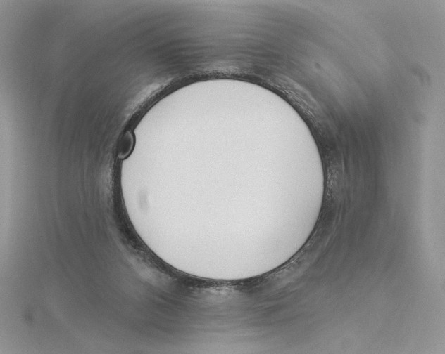 X0000114550112200911161427
