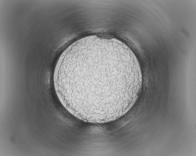 X0000114550115200911161426
