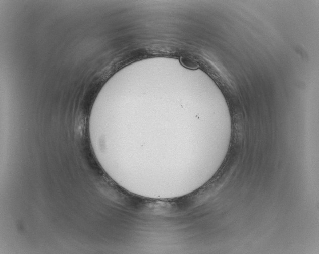 X0000114550125200911161426
