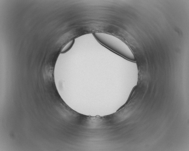 X0000114550141200911161426