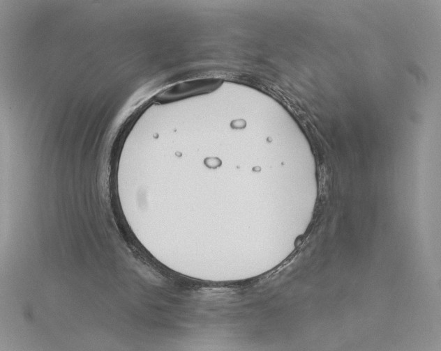 X0000114550150200911161426