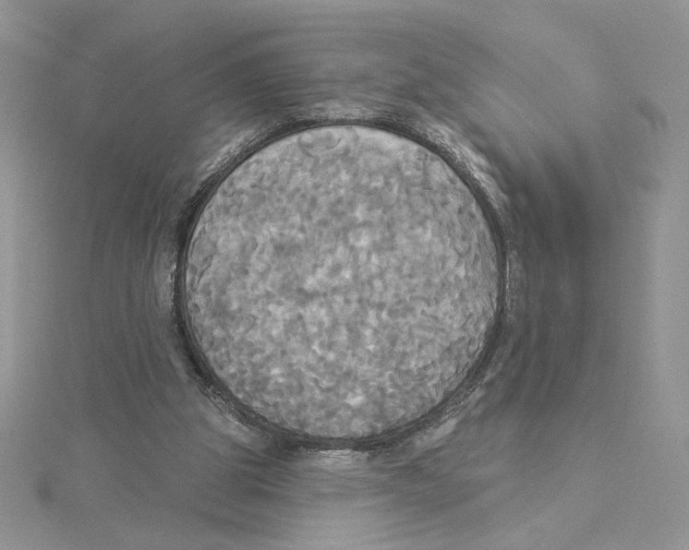 X0000114550153200911161426
