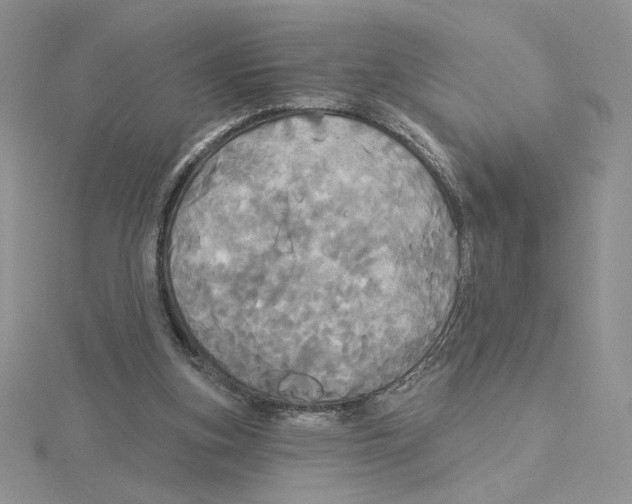 X0000114550155200911161426