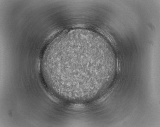 X0000114550157200911161426