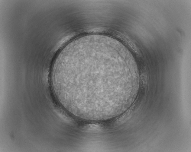 X0000114550159200911161426
