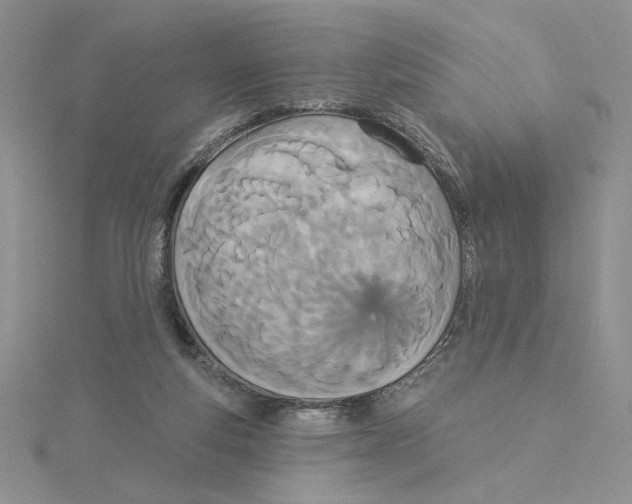 X0000114550163200911161426