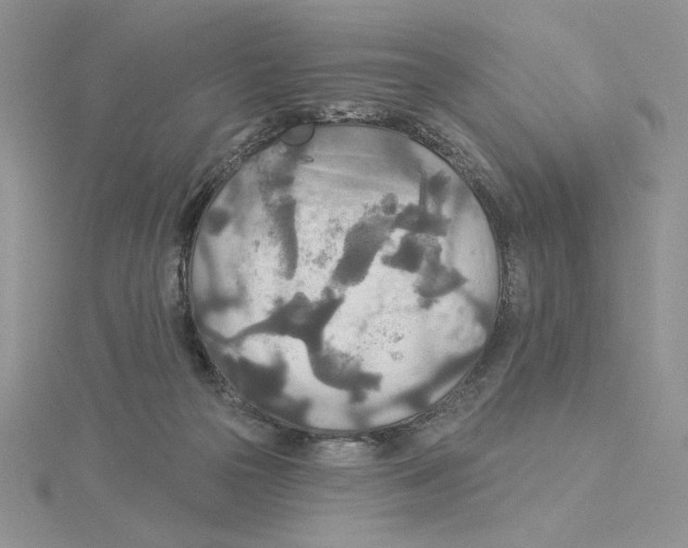 X0000114550169200911161426