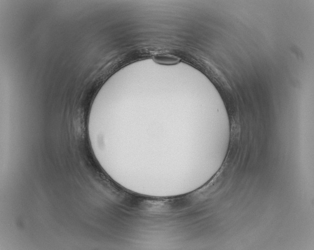 X0000114550170200911161426