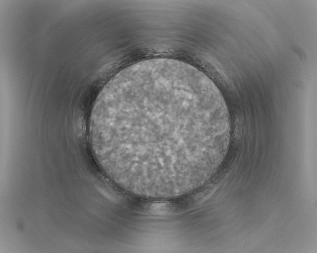 X0000114550173200911161426