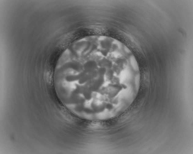 X0000114550177200911161426
