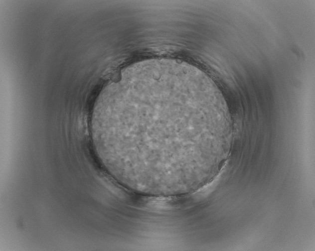 X0000114550182200911161426
